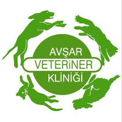 PAYLAŞAN İNŞAAT | İÇ MİMARLIK | DEKORASYON | DİZAYN, ansayfa, kurumsal, projeler, hakkımızda, vizyon, misyon, projeler, insan kaynakları, blog, referasnlar, iletişim, inşaat, ofis, iş merkezi, kurum, mühendislik, tanışma, kabul , imalat, kurulum, tasarım , oluşum, fikir, konsept, yenimahalle, ankara, çankaya, türkiye, tasarım, mekan, kalite, yeterlilik, denetim , eleman, kaynak, proje, yönetim, kreasyon, iç mimar, dış mimar, mimar, müşteri memnuniyeti, esen nakliyat, nakliyat, plaza, makam, oda, eğitim kurumları, hastane, sanayi, limited, şirket